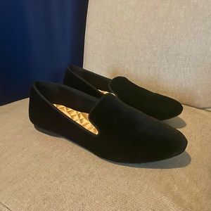 Birdies The Starling